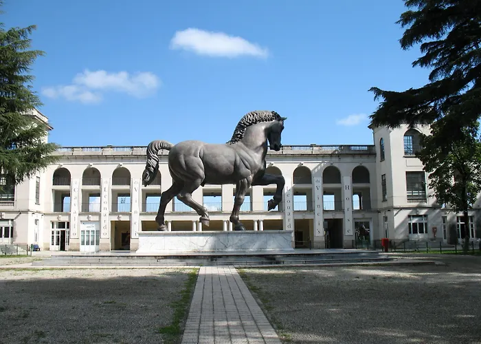 多梅尼基诺酒店 酒店