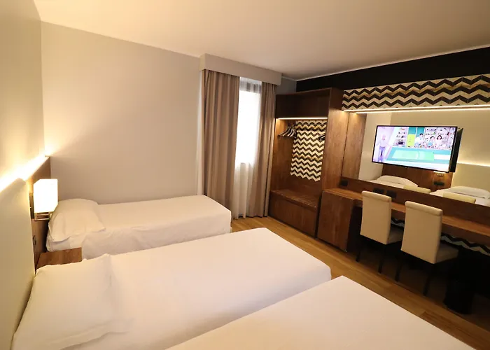 酒店 多梅尼基诺酒店 3*